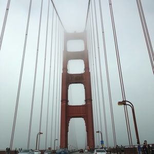 Meet your Posher, Bruce